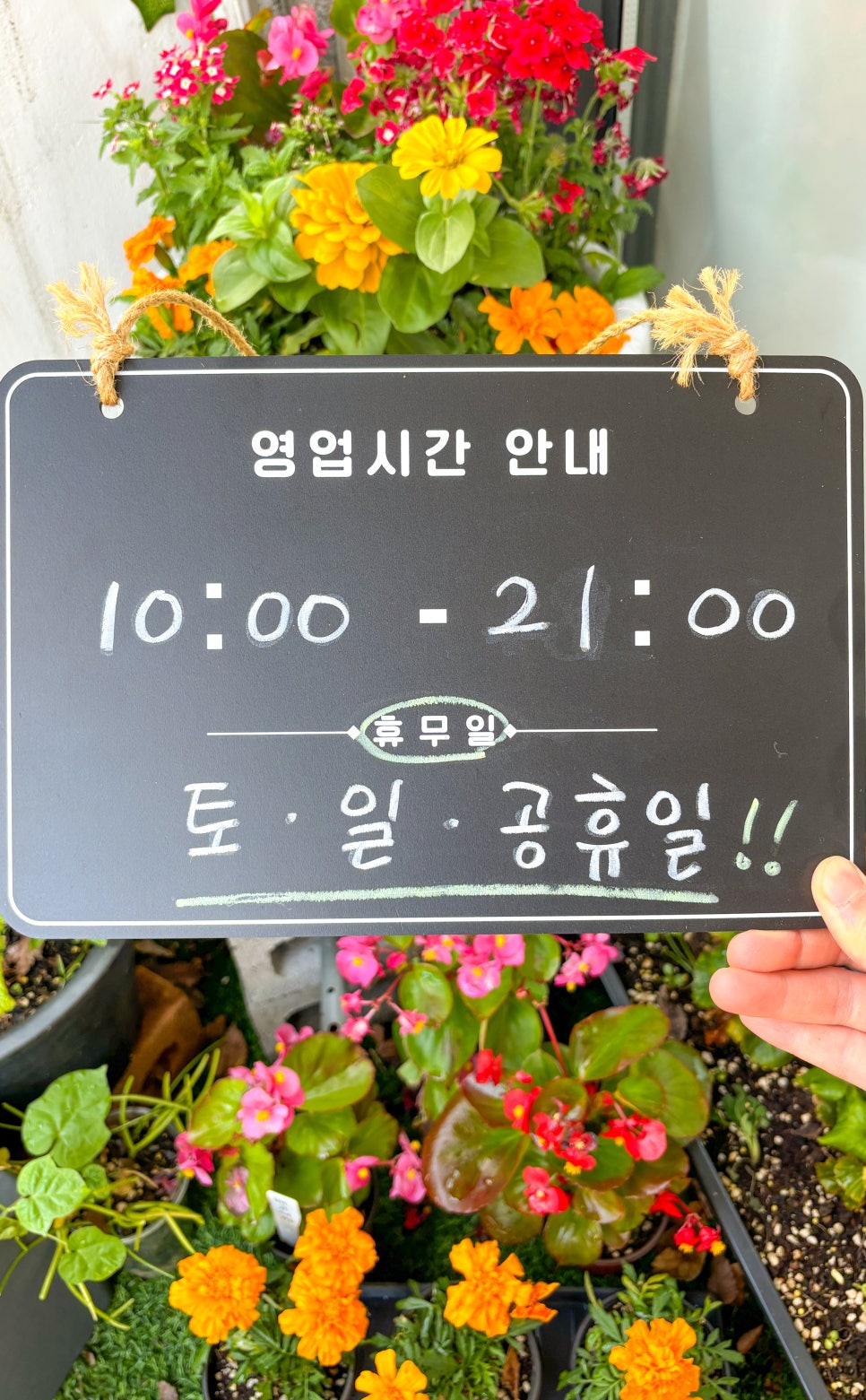 로스터조이 이미지