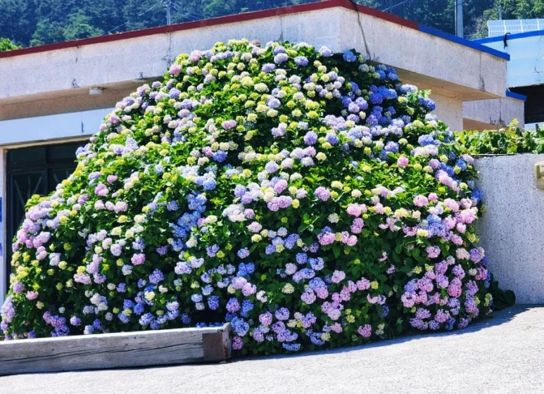 대문수산 이미지