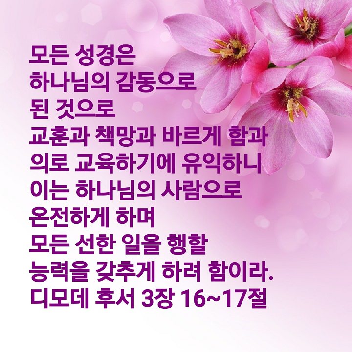 야베스 이미지