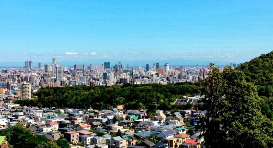 스타일미야 이미지