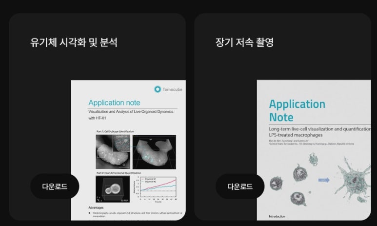 노이즈웰 이미지