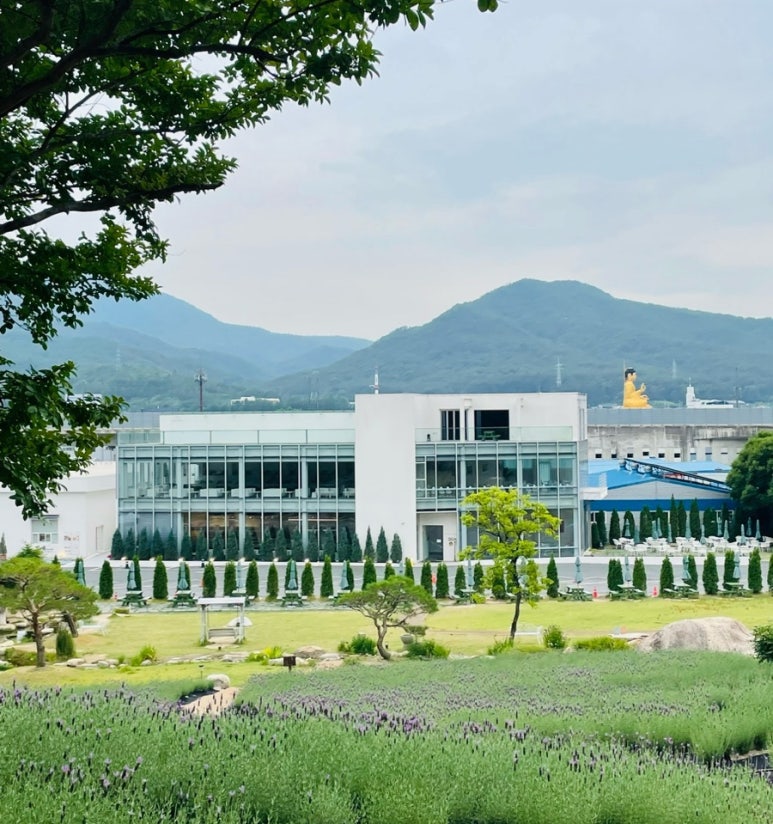 주식회사 느티나무의사랑 이미지