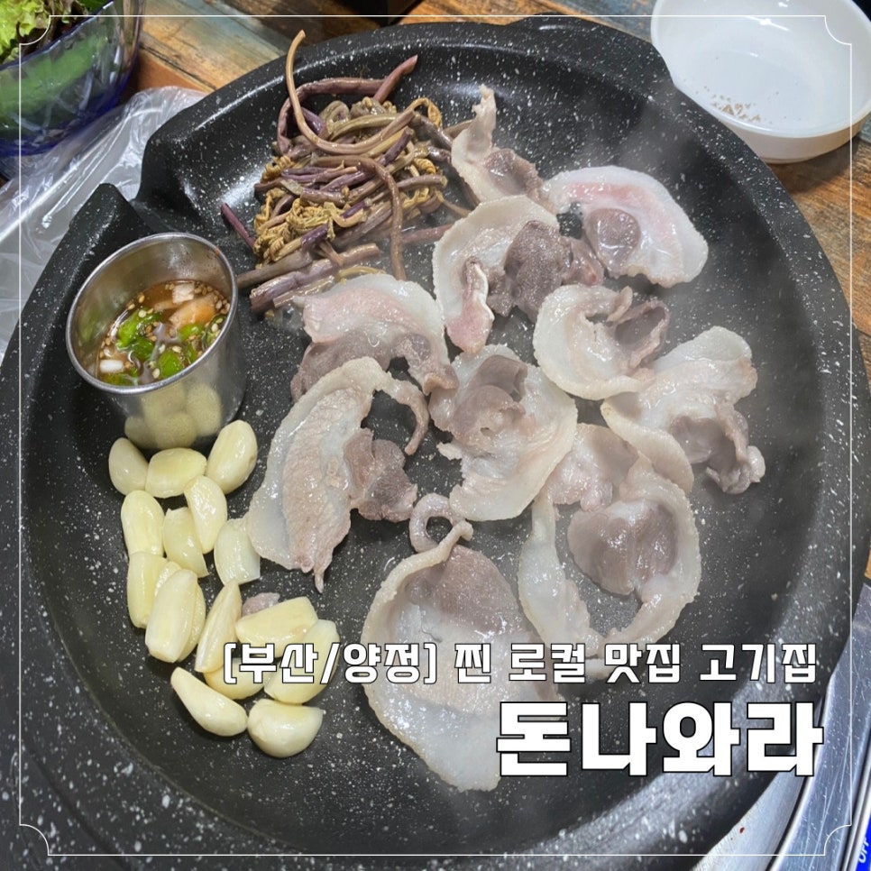 돈나와라 이미지