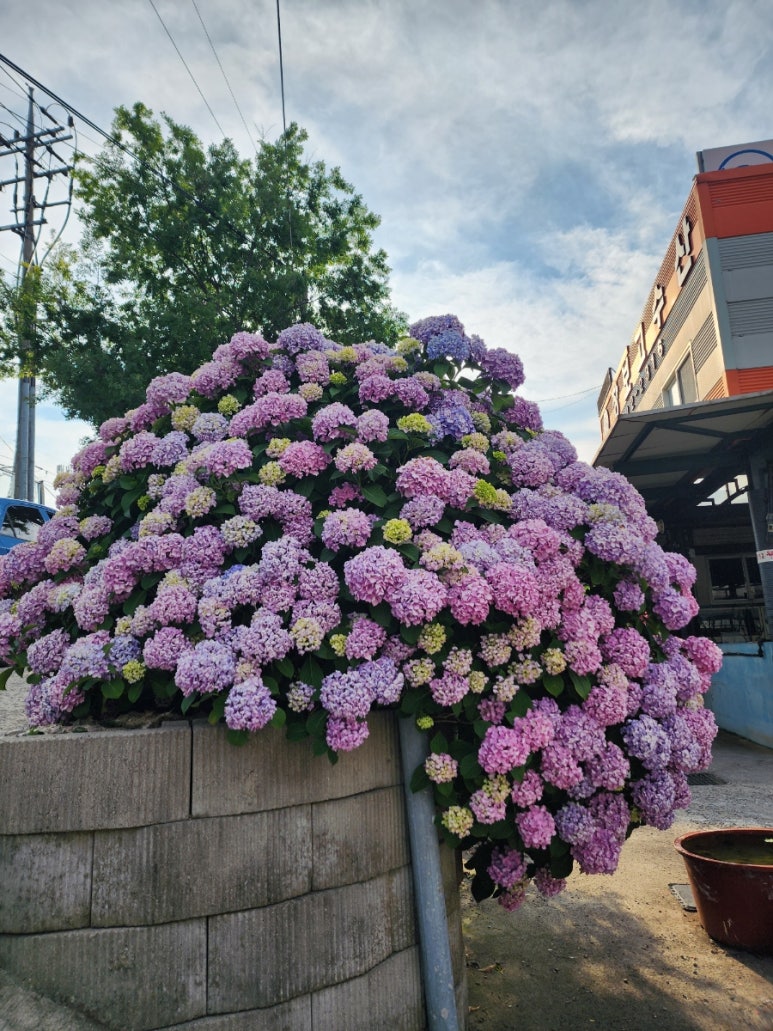 대문수산 이미지