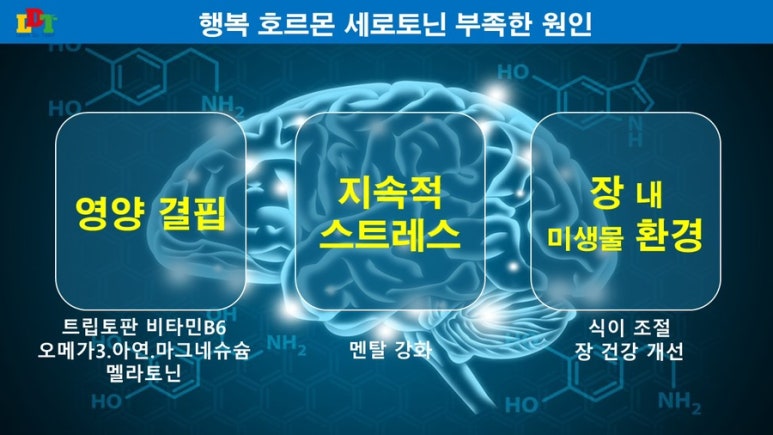 브레인코칭연구소 이미지