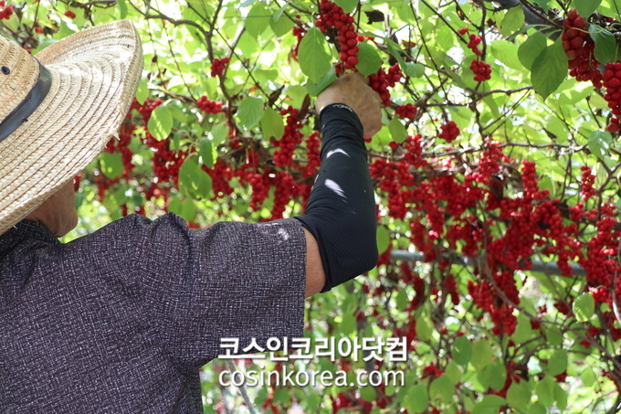 (주)소재산업개발 이미지