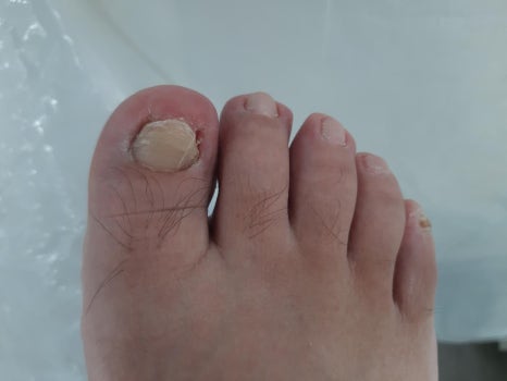 레푸스앤두두뷰티 이미지