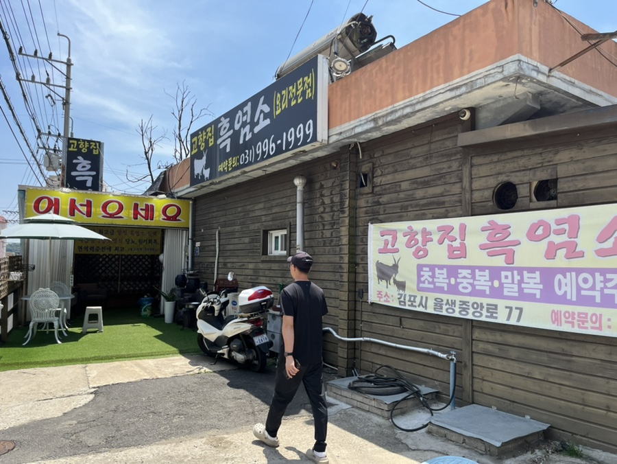고향집흑염소 이미지
