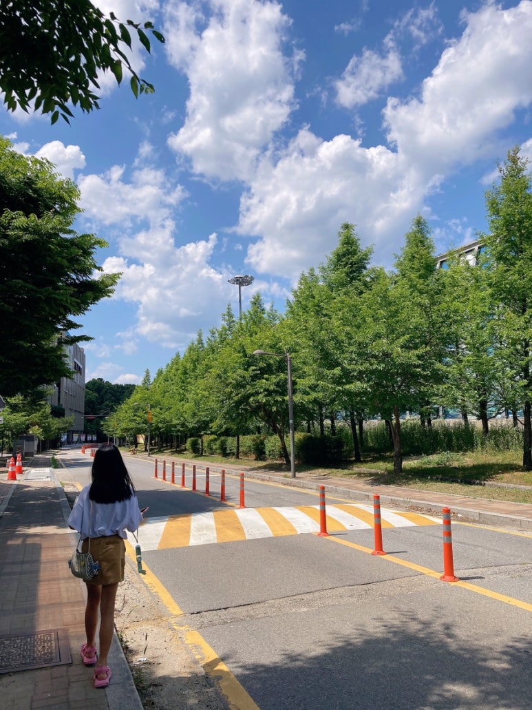 초록파랑베이커리 이미지