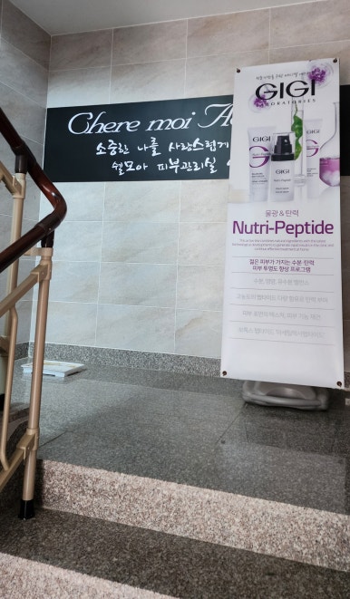 쉘모아 이미지