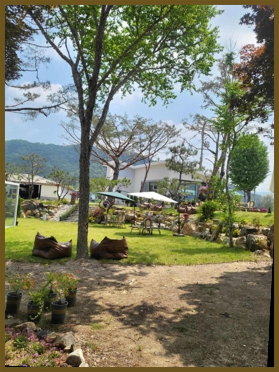 정원녹즙 이미지