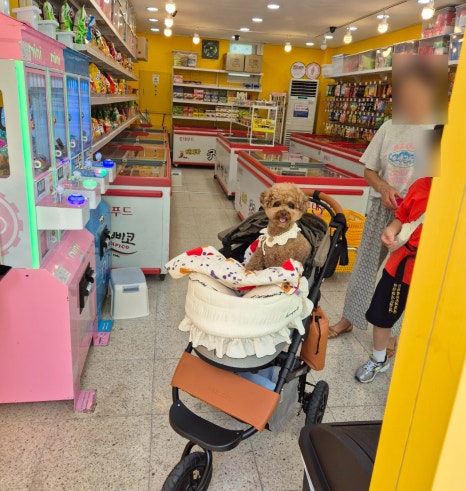 아이스무빙아이스크림 이미지