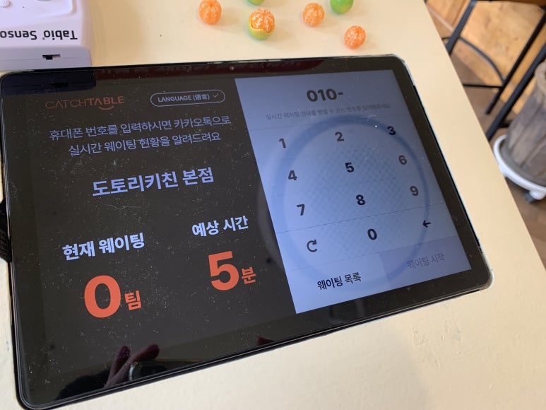 제주도토리 이미지