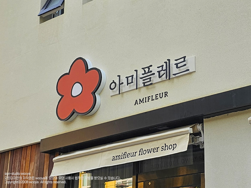 아미플레르 이미지