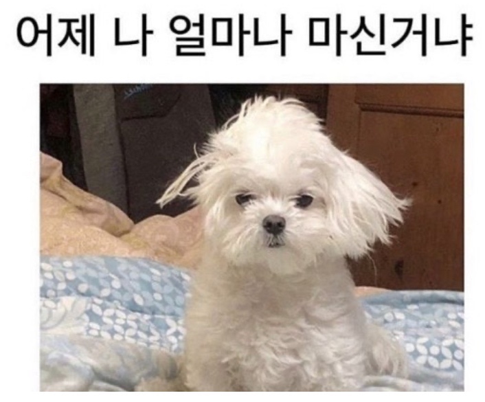 삼척해장국 이미지