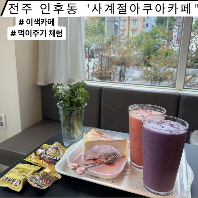 사계절아쿠아카페 이미지