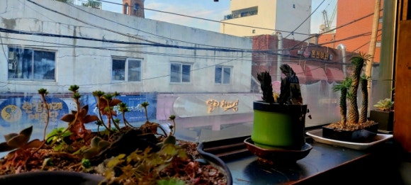 헬로우미스터호프 이미지