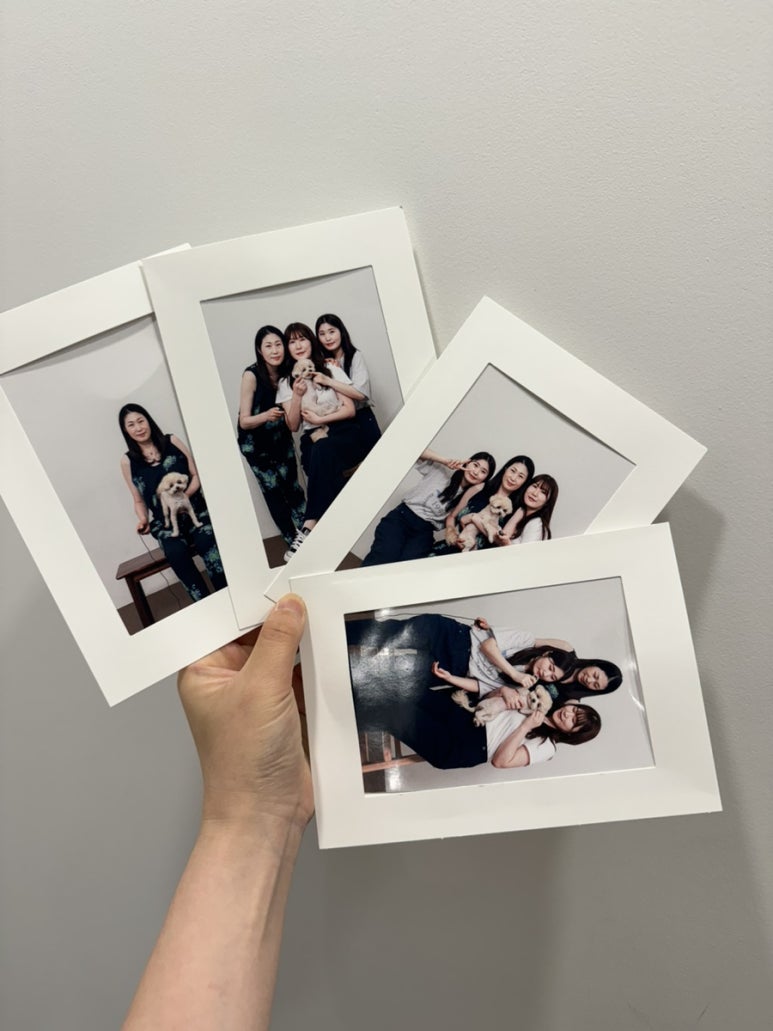 셀프사진관예뻐서;봄 이미지