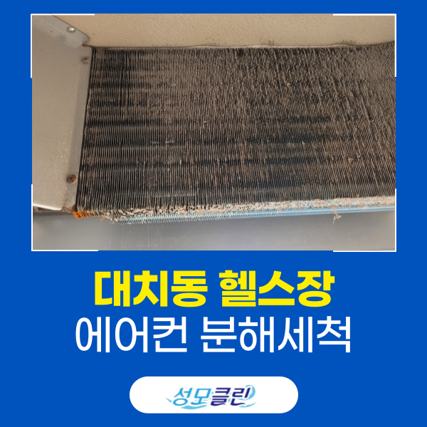 성모클린 이미지