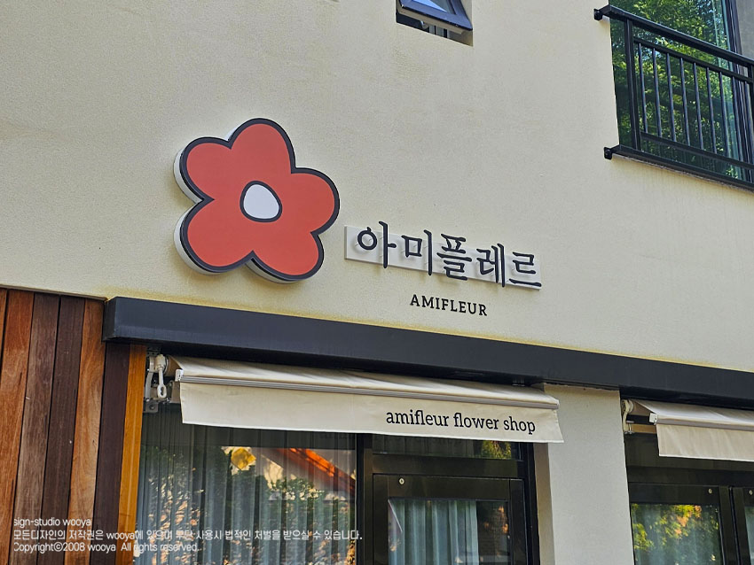 아미플레르 이미지