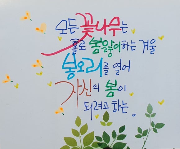 너는;꽃 이미지