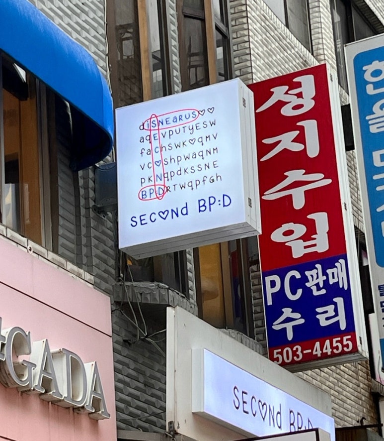 세컨드비피디 이미지