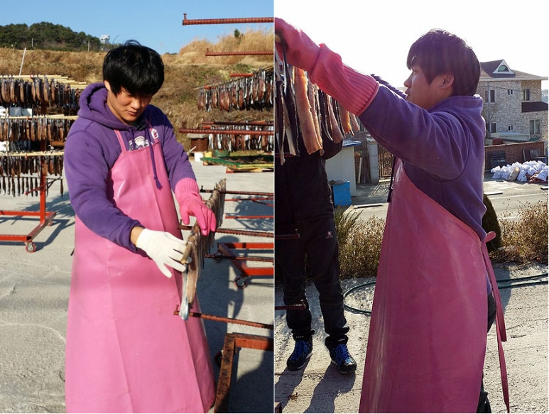 미소과메기 이미지