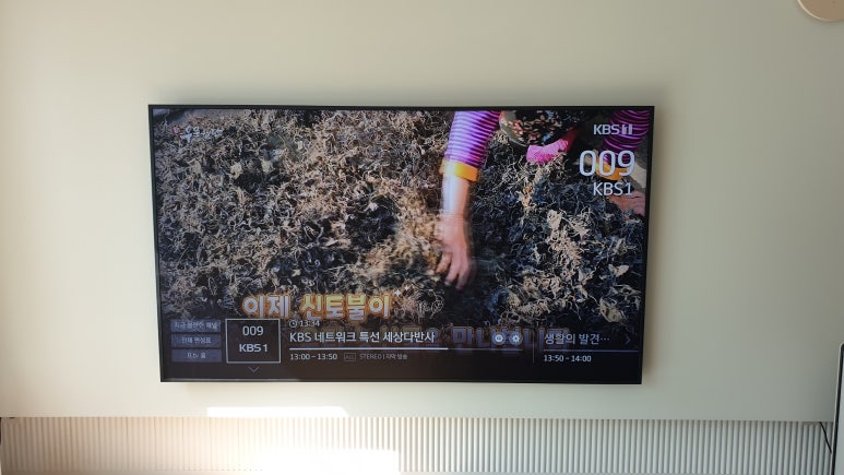 여수tv 이미지