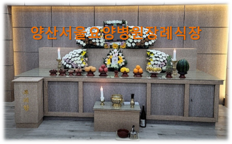 서울VIP요양병원 이미지