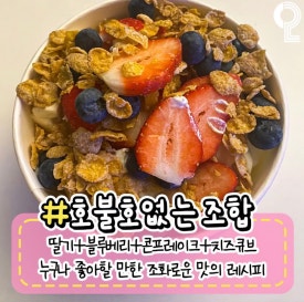 요거트 아이스크림의 정석 관평점 이미지