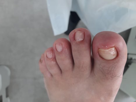 레푸스앤두두뷰티 이미지
