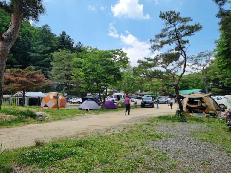 신선계곡야영장 이미지
