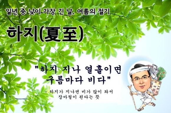 골든파인트리 이미지