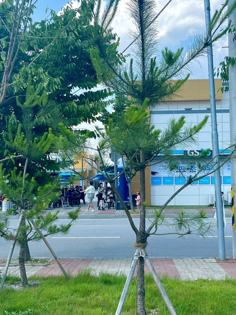 지에스25 충북아쿠아리움점 이미지