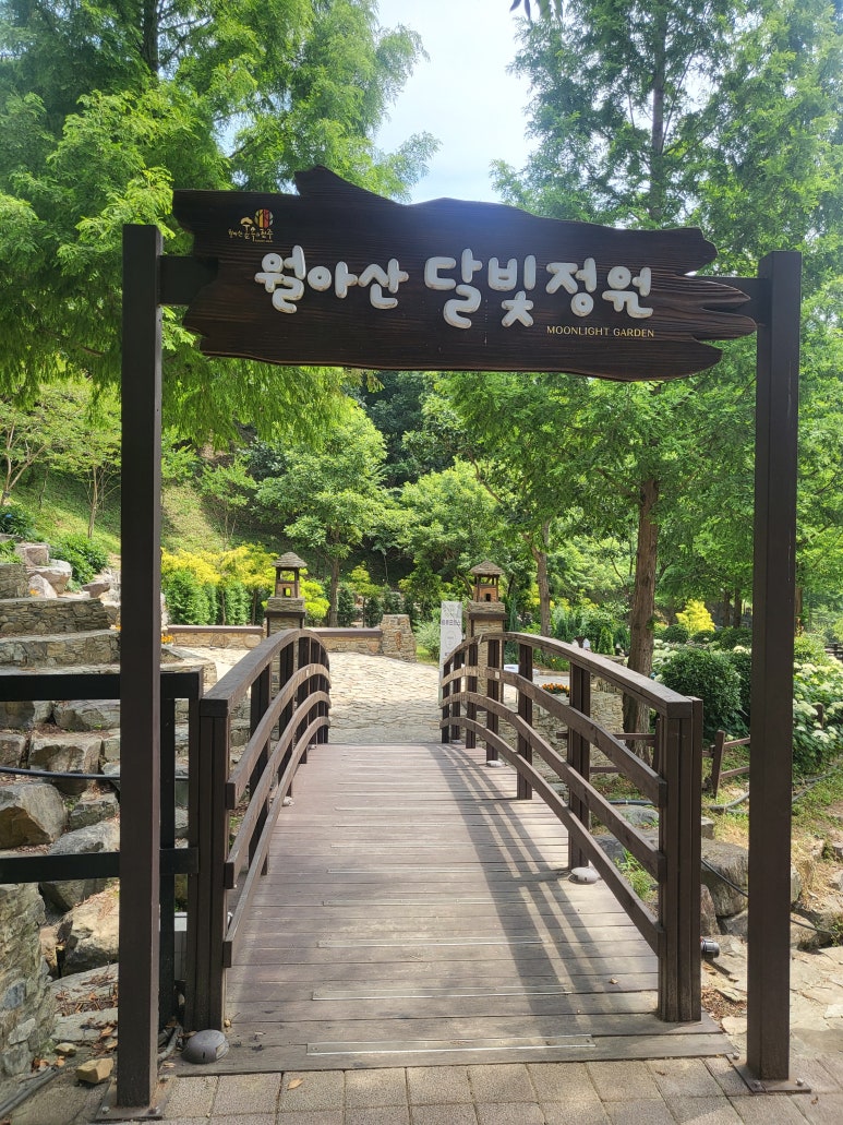 꽃과 노닐다 이미지
