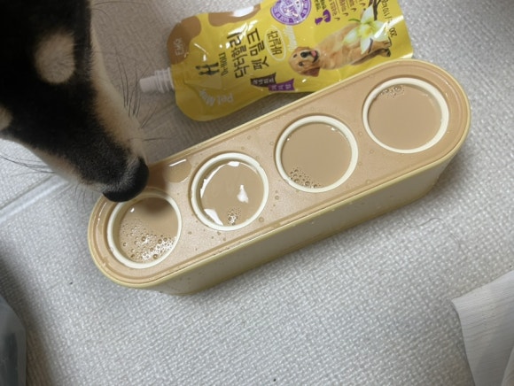 댕스크림 이미지