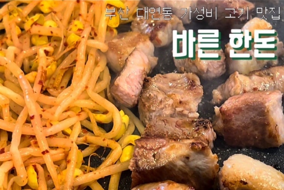 바른한돈 이미지