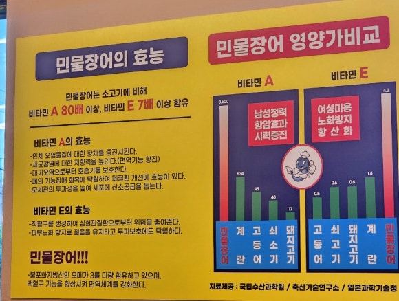 백억장어 이미지