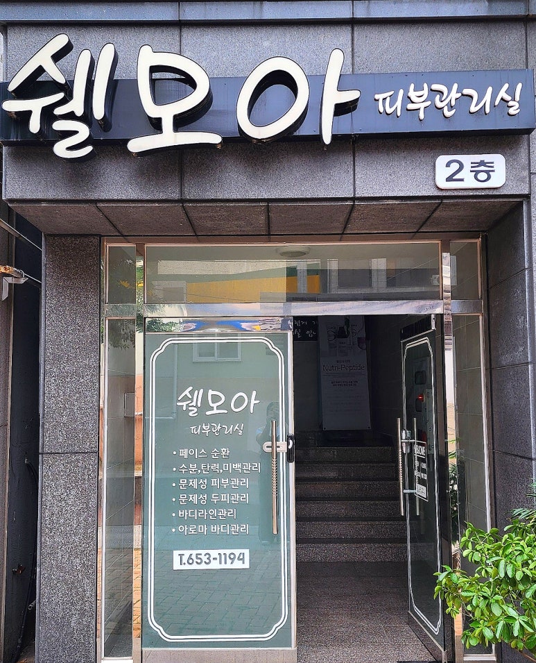 쉘모아 이미지
