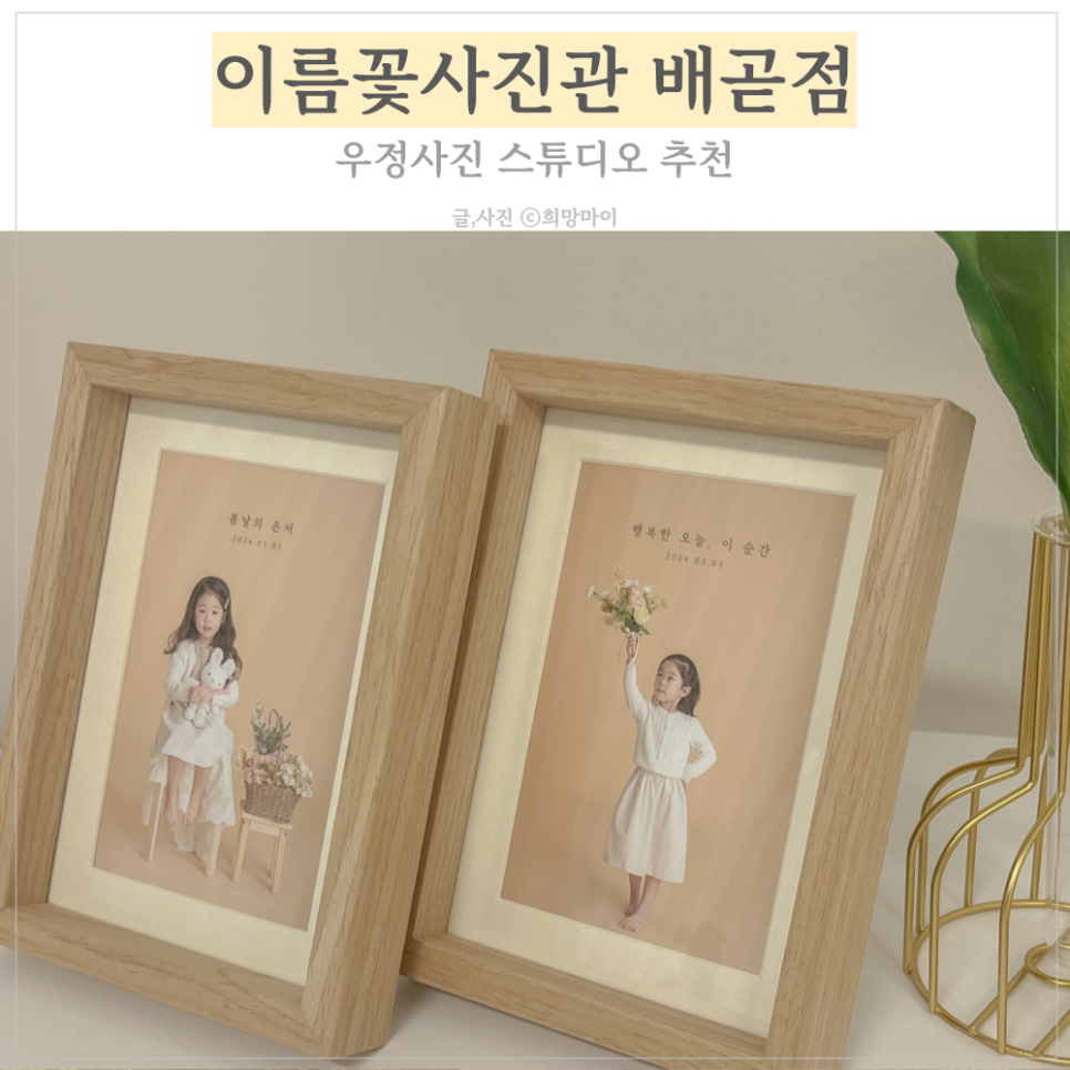 이름꽃사진관배곧점 이미지