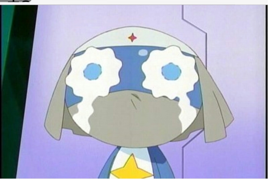 쇼핑코드 이미지