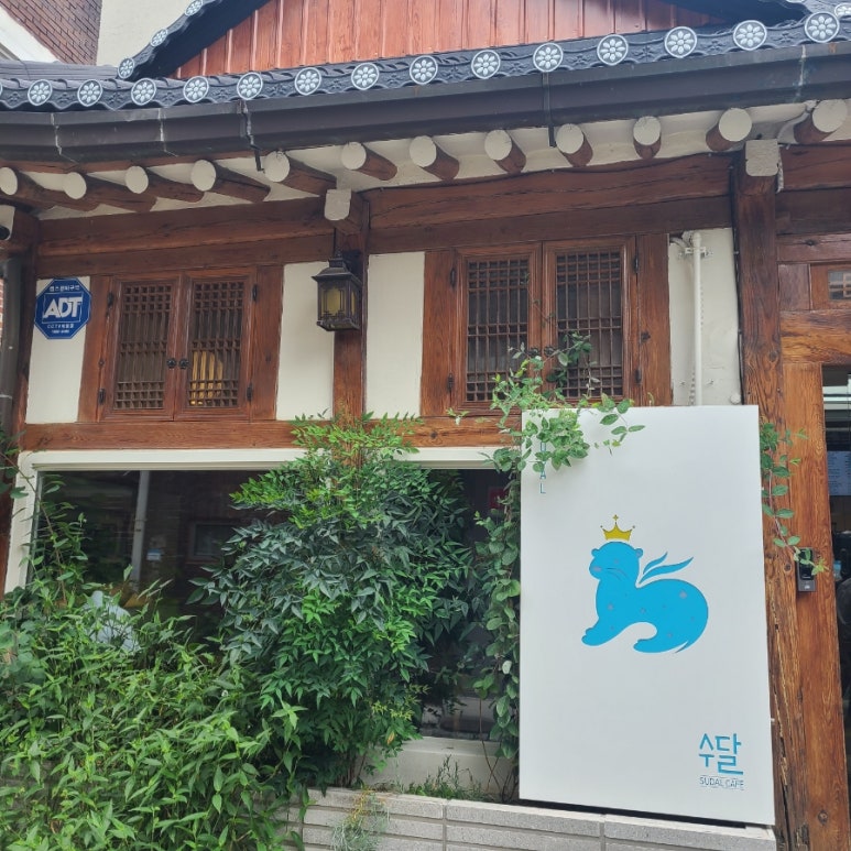 카페 수달 이미지