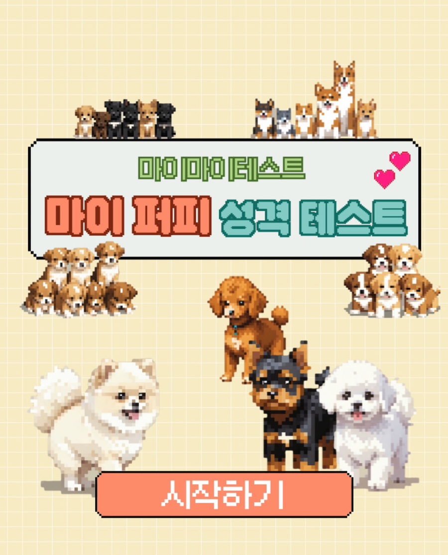 마이마이마이 이미지