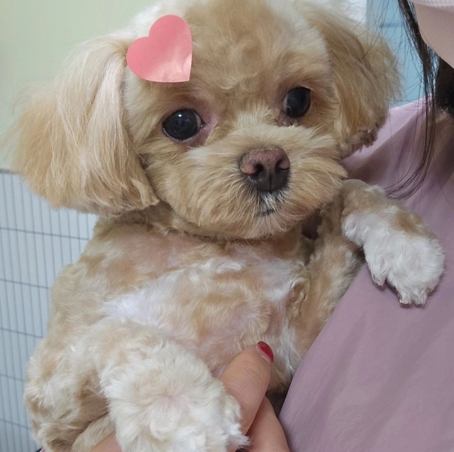 백천미용실 이미지