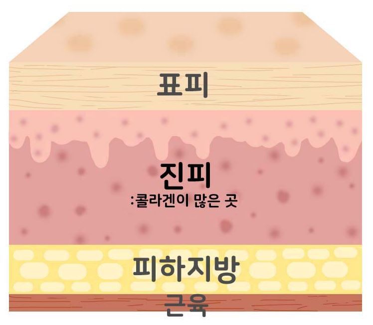 피부미용기술관리센터 이미지