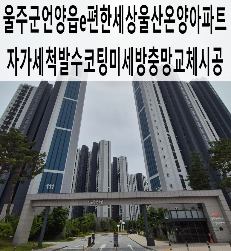 더존세상 이미지