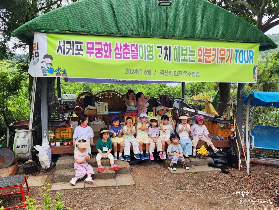 협동조합고치 이미지
