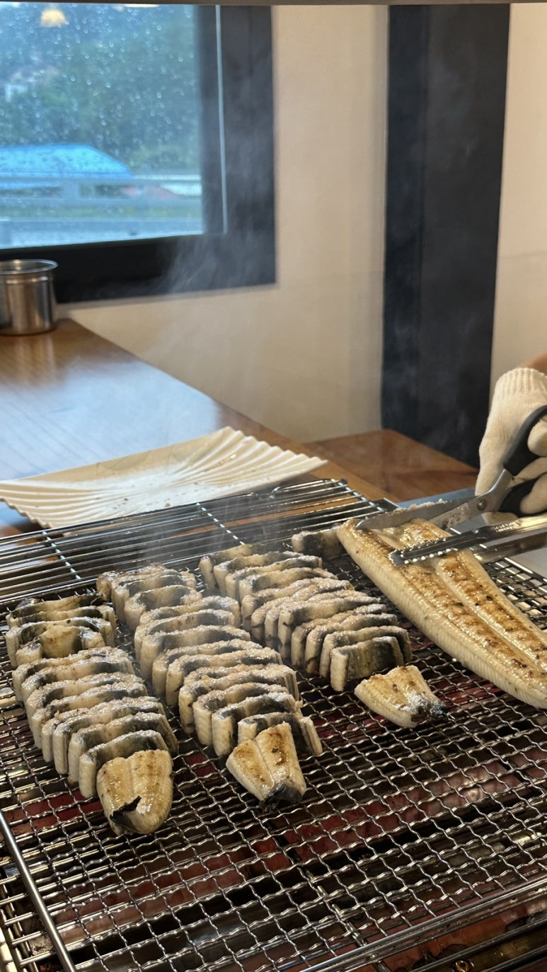 정선애장어먹으러와요 이미지