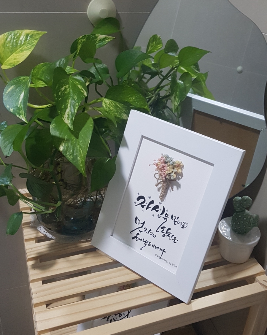 캘리스테이 이미지