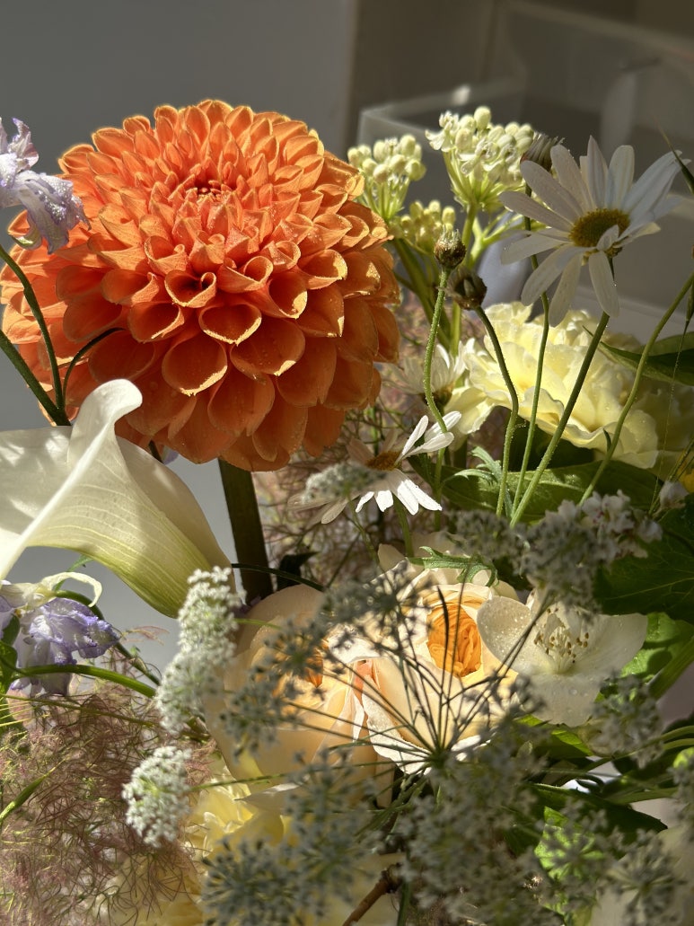 발레드무이 이미지